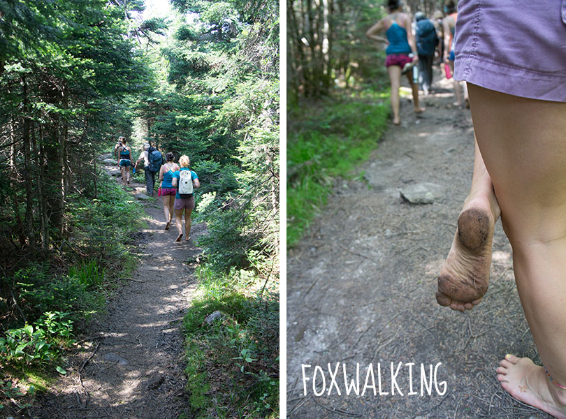 Foxwalking - Wanderlust Festival Vermont