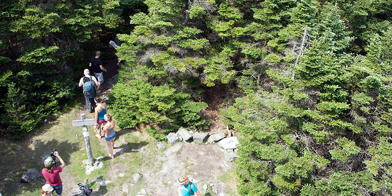 Foxwalking Stratton Mountain Vermont